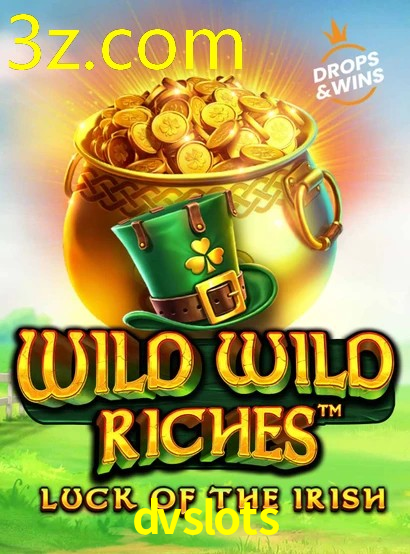 DVSLOTS