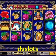 dvslots Salvador - Bonus Stats